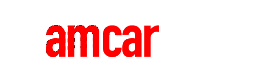 amcarchips